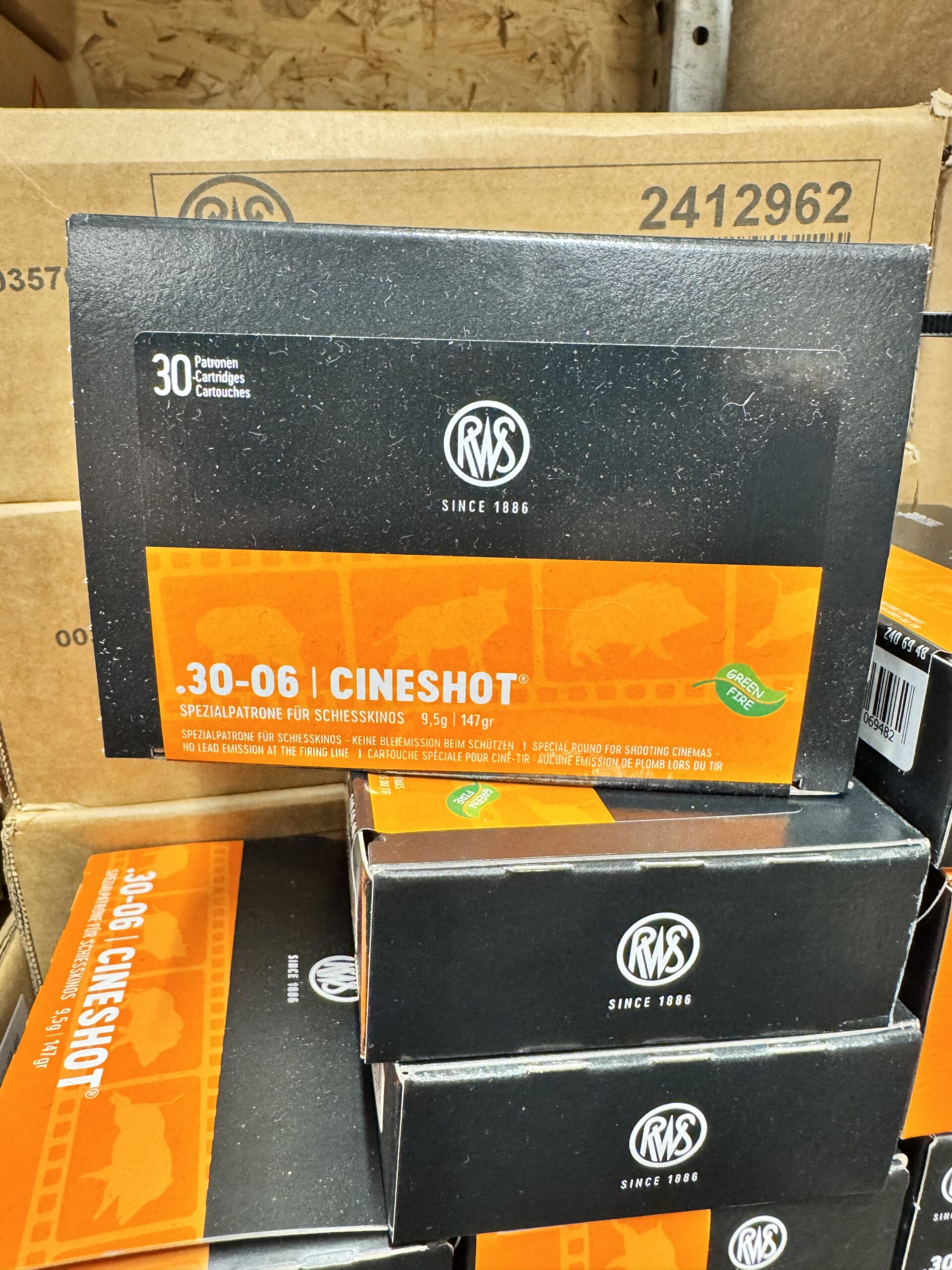 RWS 30-06 Cineshot 9,5g 147gr